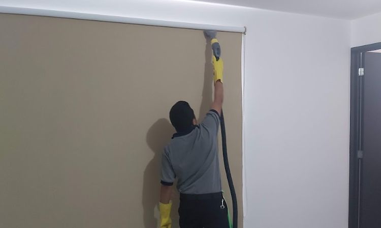 servicios de limpieza